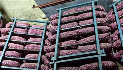 Küüslauk 25kg karp